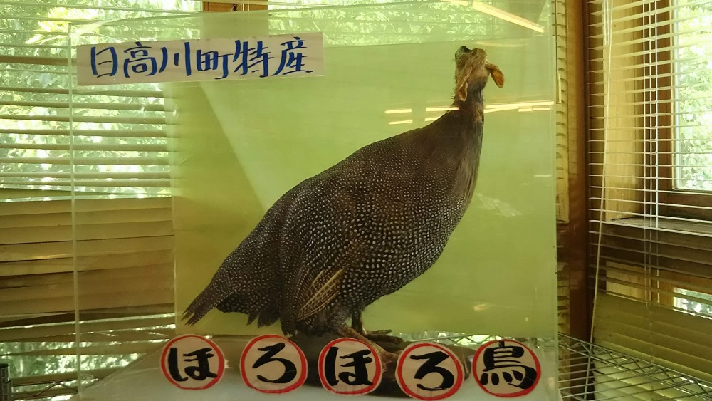 道の駅SanPin中津で買えるホロホロ鳥