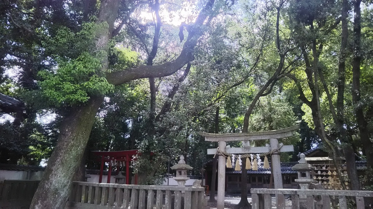 小竹八幡神社の左側の鳥居