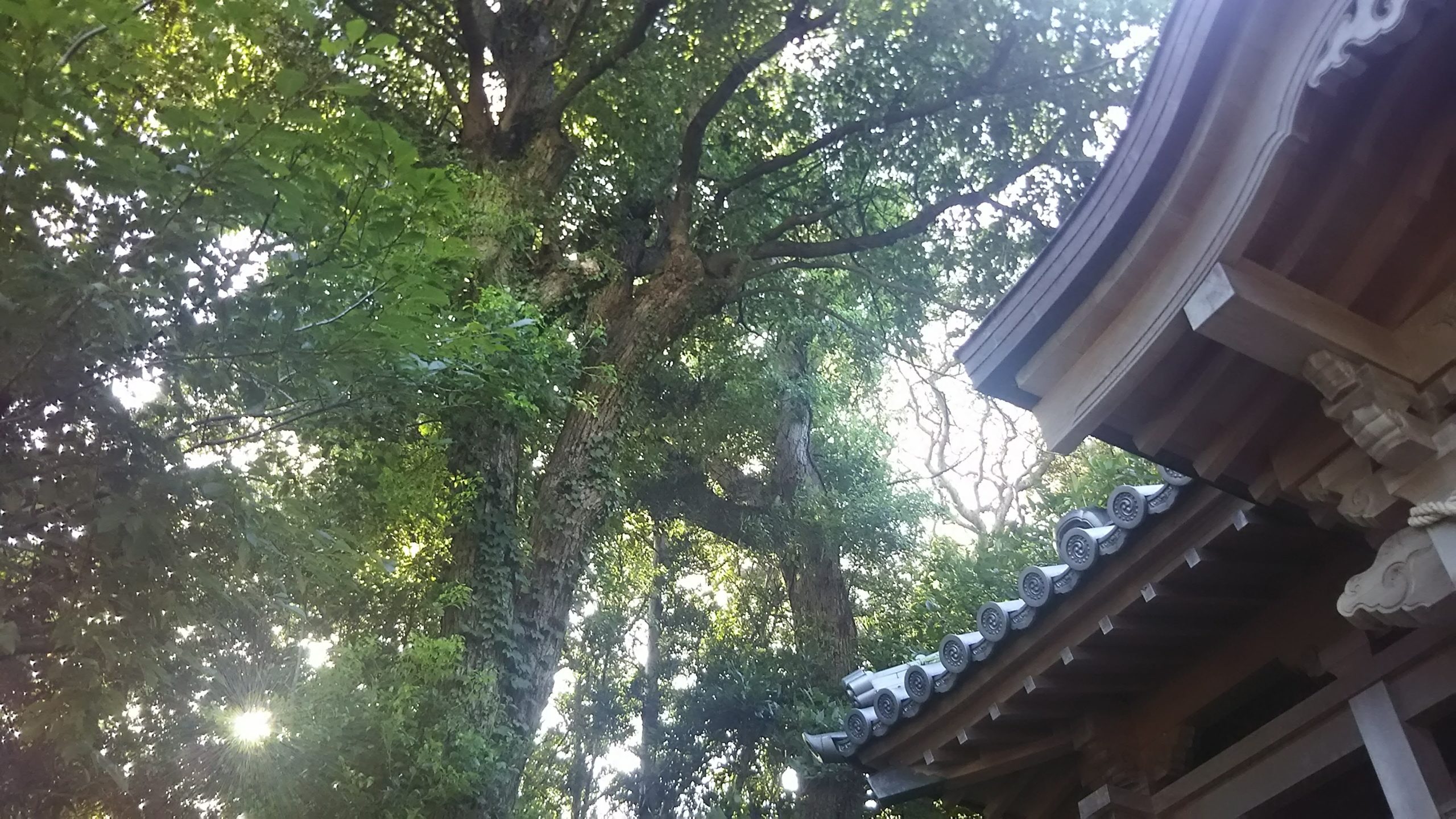 和歌山の白髭神社