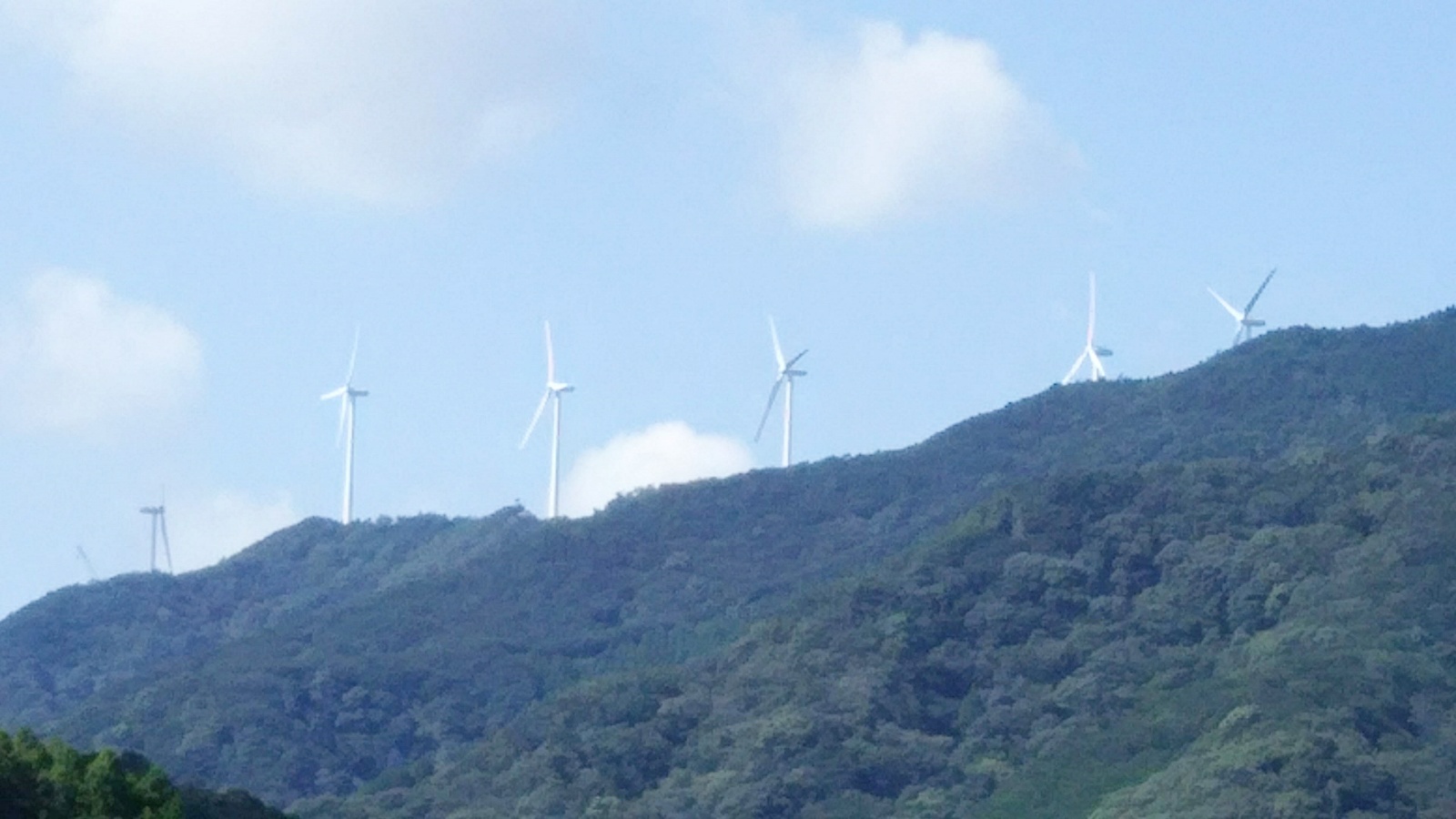 ソワレのロケ地の風車