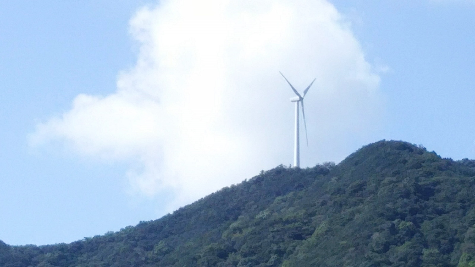 ソワレのロケ地の風車