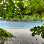 石垣島の川平湾